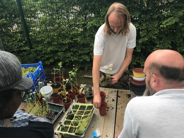 Seed sowing and potting on